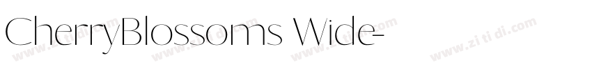 CherryBlossoms Wide字体转换